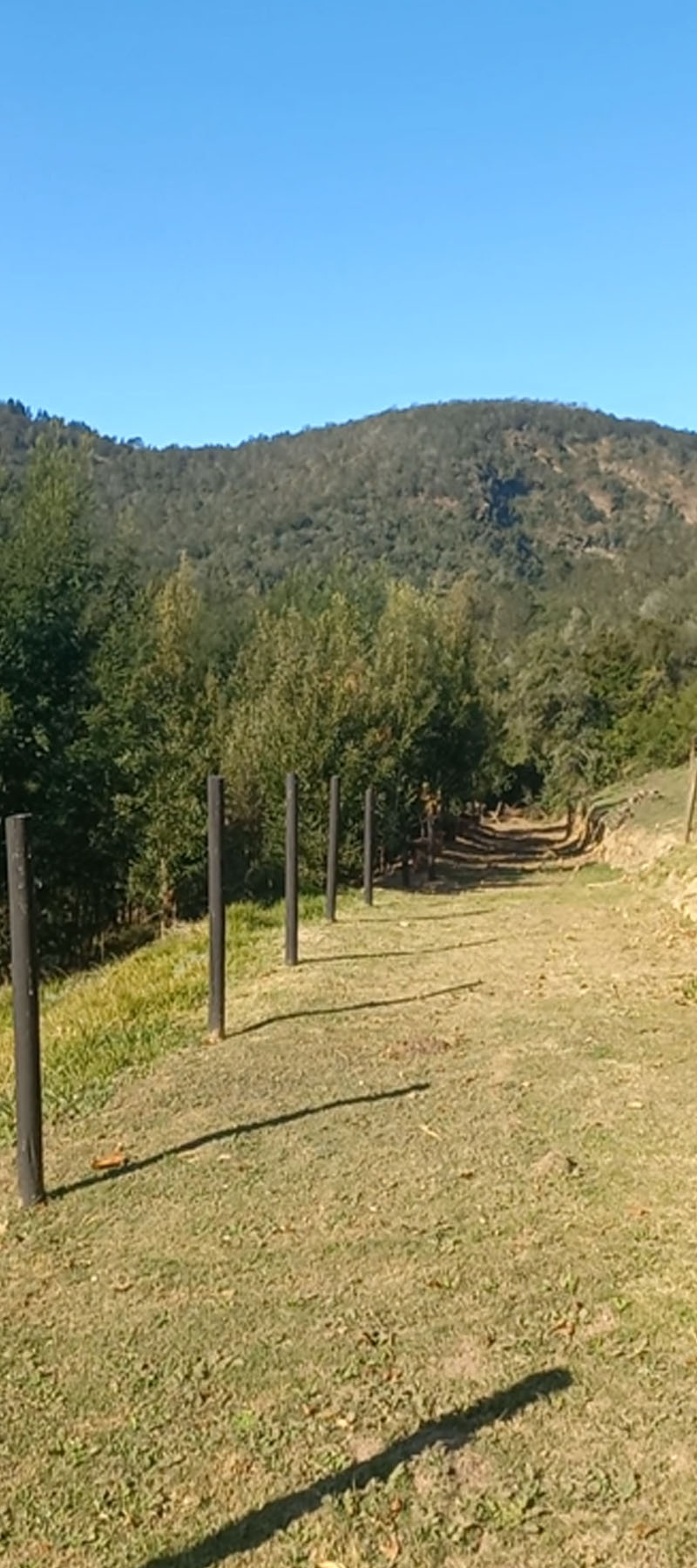 10 Bedroom Property for Sale in Hoekwil Western Cape